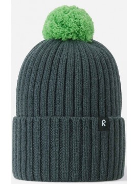 Naujiena! Reima žiemos kepurė Topsu. Spalva žalia